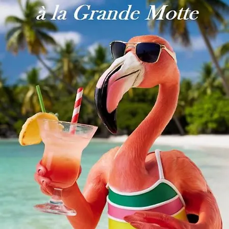 Mes Vacances A La Mer Studio 4 Pers, Parking Prive, Wifi, Linges Fournis, Climatisation La Grande-Motte